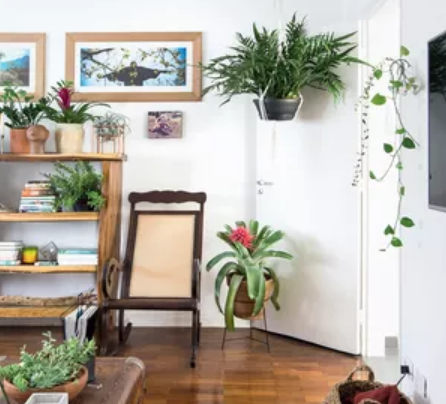 Apartamento Verde